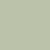 Tuscan Olive  Images